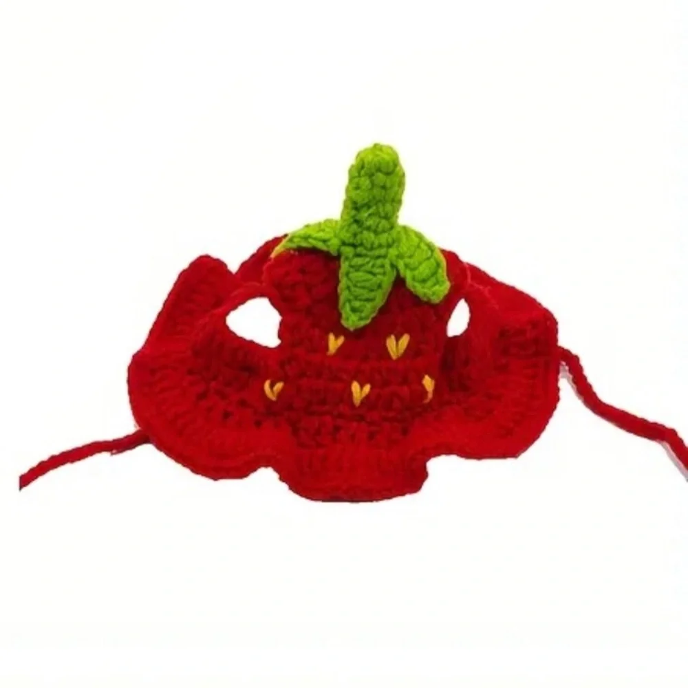 Red Strawberry Handcrafted Crochet Cat Dog or Small Pet Hat (Sm)